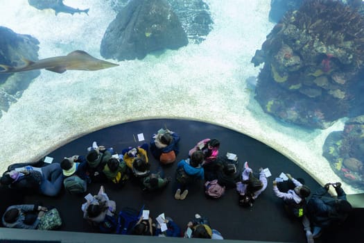 PORTUGAL, LISBON 12 December 2022: children sit in front of aquarium glass in oceanarium. Mid shot