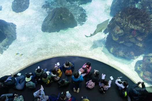 Children sit in front of aquarium glass in oceanarium - an angelshark swimming close to the glass. Mid shot
