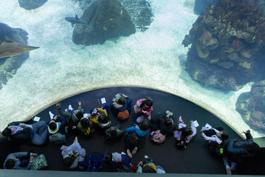 PORTUGAL, LISBON 12 December 2022: children sit in front of aquarium glass. Mid shot