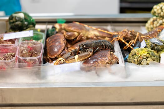 Newly caught lobsters are sold on the market. Mid shot
