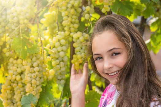 Pretty little long haired girl is holding with one hand ripe grapes smiling at the camera. Wine harvest concept.