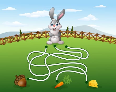 Help the rabbit to find the carrot
