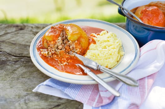 Stuffed peppers with ground meat and rice in tomato sauce with mashed potatoes. European traditional dish cuisine