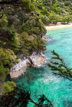 Beautiful tranquil bay at Abel Tasman National Park, New Zealand