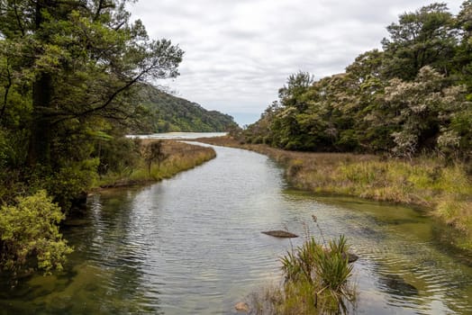 River flowing into the Pacific ocean at Abel Tasman National Park, New Zealand