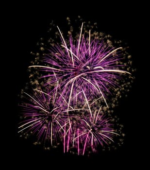 Festive pink fireworks display isolated on black background for celebration and anniversary