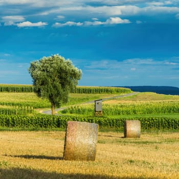 haybales on stubble field in Burgenland