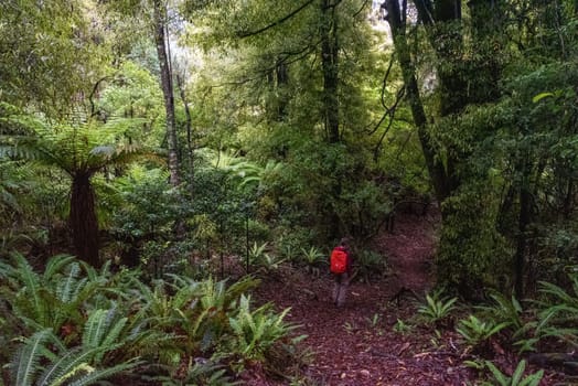 Hiking the Ngamoko track in Waikaremoana, North Island of New Zealand