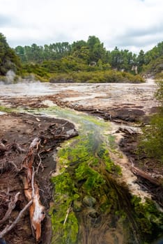 Natural wonders at Waiotapu Thermal Wonderland, Rotorua in New Zealand