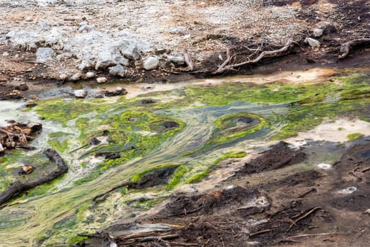 Natural wonders at Waiotapu Thermal Wonderland, Rotorua in New Zealand