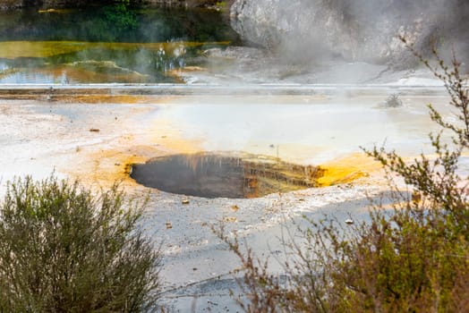 Geothermal field with Geyser at Whakarewarewa village, North Island of New Zealand