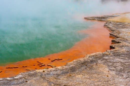 Natural wonders at Waiotapu Thermal Wonderland, Rotorua in New Zealand
