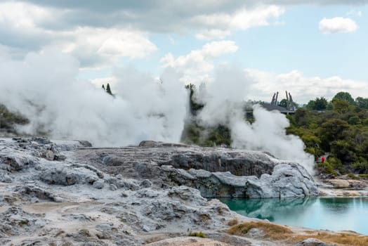 Geothermal field with Geyser at Whakarewarewa village, North Island of New Zealand