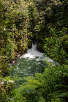 Cascade at Caituna river near Rotorua, North Island of New Zealand