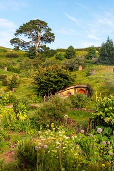 HOBBITON, NEW ZEALAND - JANUARY 20, 2023 - Famous Hobbiton village in Matamata from the movies The Hobbit and Lord of the Rings, New Zealand