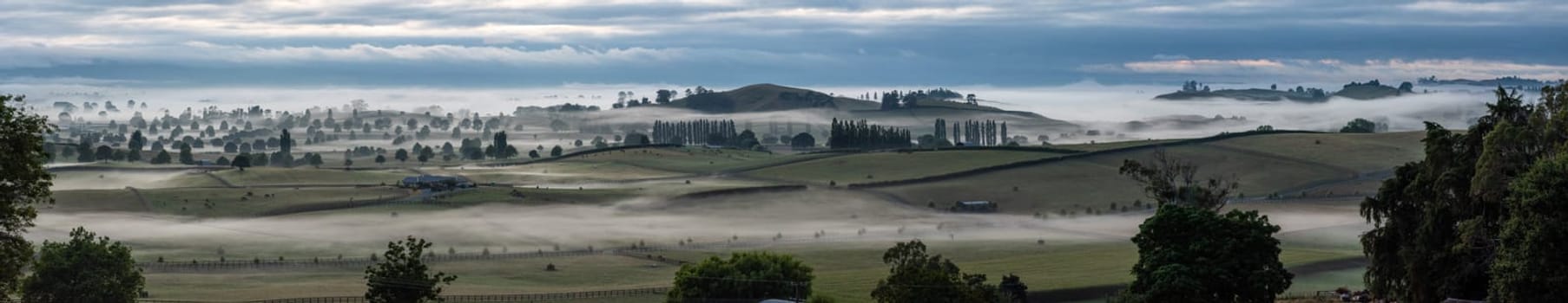Great pasture landscape in the early morning in Matamata, North Island of New Zealand