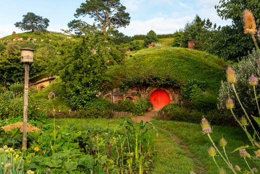 HOBBITON, NEW ZEALAND - JANUARY 20, 2023 - Famous Hobbiton village in Matamata from the movies The Hobbit and Lord of the Rings, New Zealand