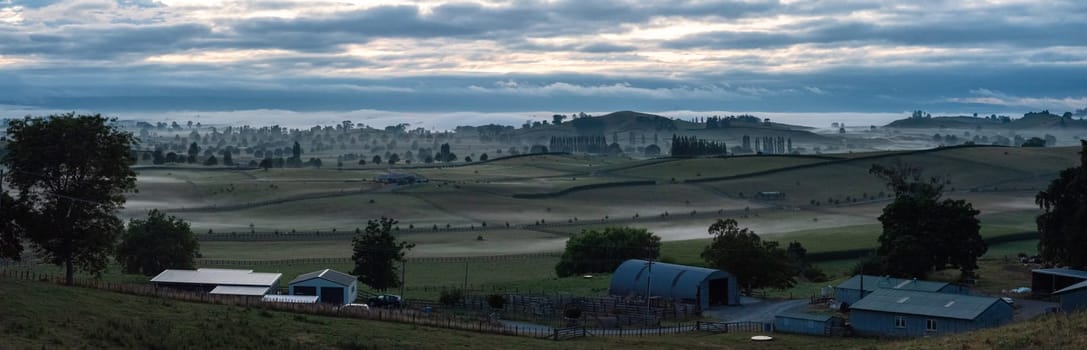 Great pasture landscape in the early morning in Matamata, North Island of New Zealand