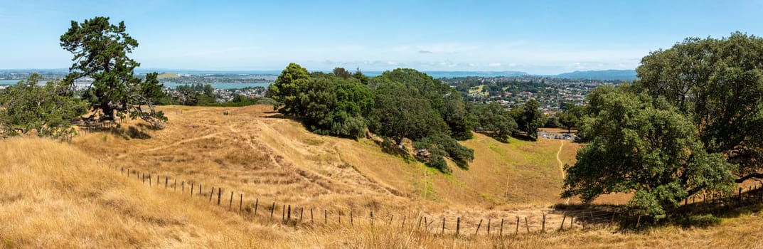 Scenic landscape in One Tree Hill Park in Auckland, New Zealand