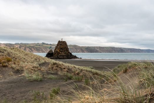 Dark colored sand at Whatipu beach near Auckland, New Zealand