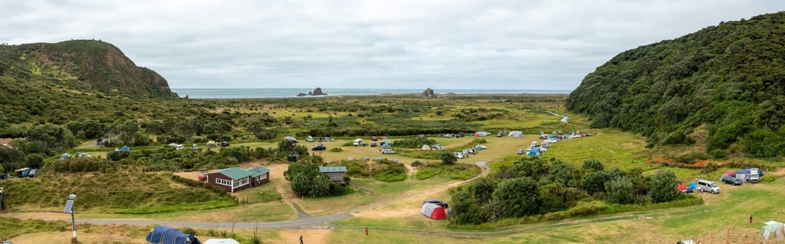 Beautiful vegetation at Whatipu beach in Auckland, New Zealand