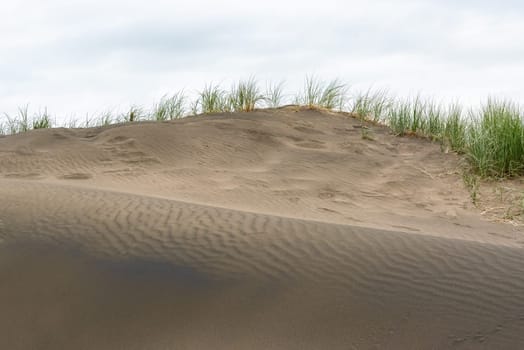 Dark colored sand at Whatipu beach near Auckland, New Zealand