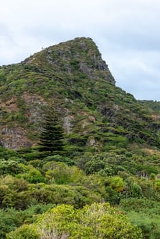 Peaceful view at the valley of Whatipu beach, Auckland in New Zealand