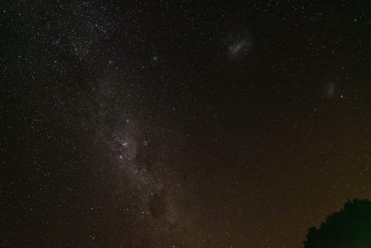 Starry night above the jungle of Great Barrier Island, New Zealand
