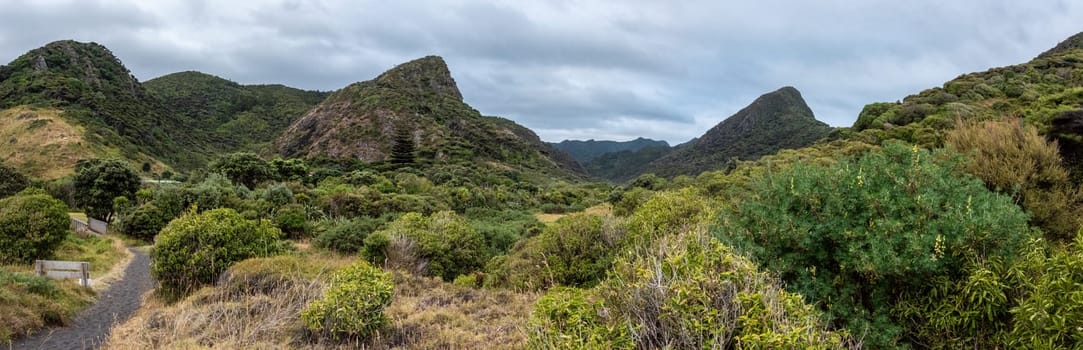 Peaceful view at the valley of Whatipu beach, Auckland in New Zealand