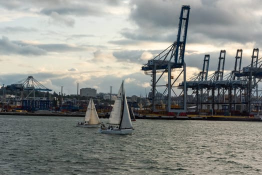 AUCKLAND, NEW ZEALAND - JANUARY 28, 2023 - Industry harbor of Auckland and sailboats on the water, New Zealand