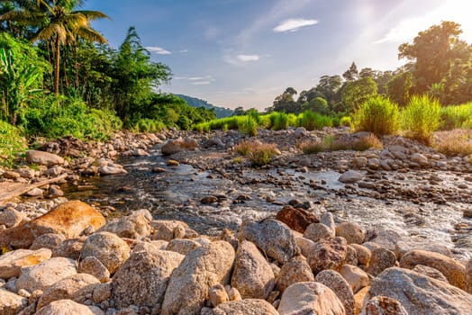 Stone river and sun ray in forest, River stone and tree with sun beam, View water river tree