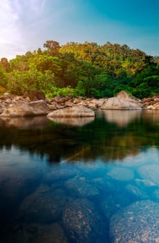 River stone and tree with sun light, View water river tree, Stone river and sun ray in forest