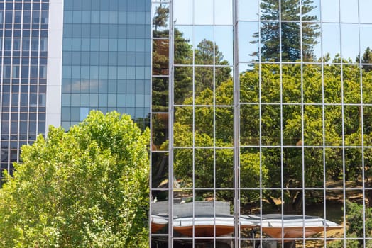 Trees reflecting at the facade of a sky scraper in Auckland, New Zealand