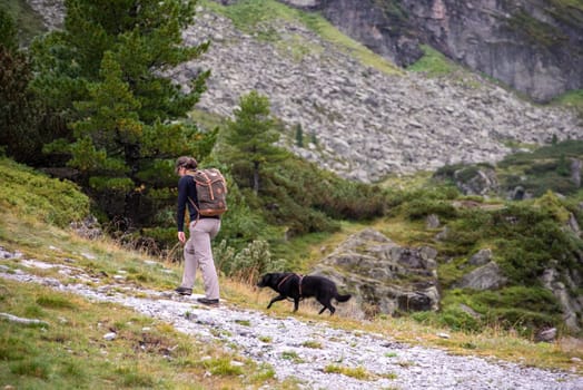 Woman hiking with her dog in the High Tauern National Park, the Austrian alps