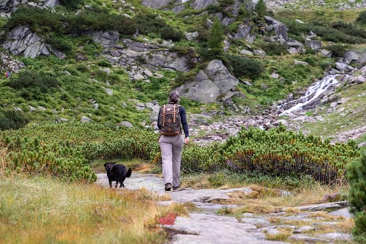Woman hiking with her dog in the High Tauern National Park, the Austrian alps