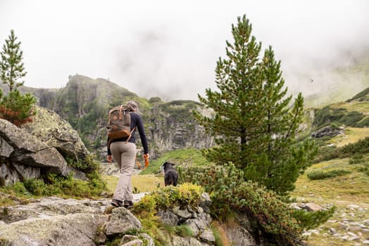Woman hiking with her dog in the High Tauern National Park, the Austrian alps