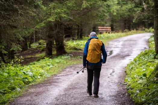 A man hiking alone in a forest of the High Tauern National Park in the Austrian Alps