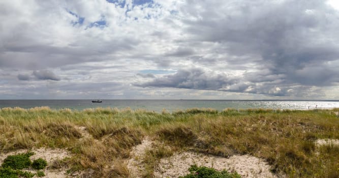 Panoramic view of dunes at the beach of Hel peninsula, Poland