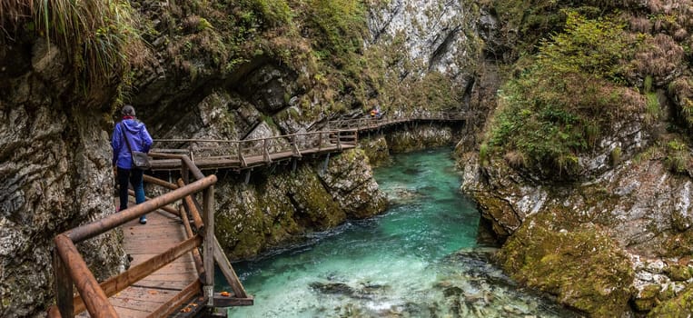 Scenic wild river flowing through the Vintgar gorge, Slovenia