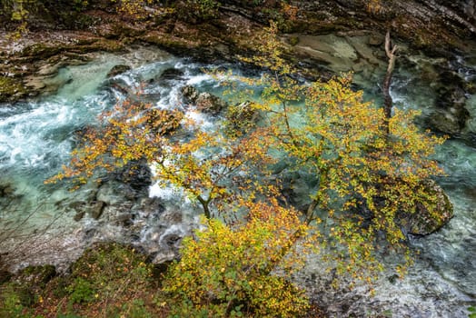 Scenic wild river flowing through the Vintgar gorge, Slovenia