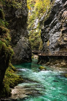 Scenic wild river flowing through the Vintgar gorge, Slovenia