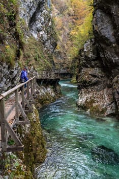 Scenic wild river flowing through the Vintgar gorge, Slovenia