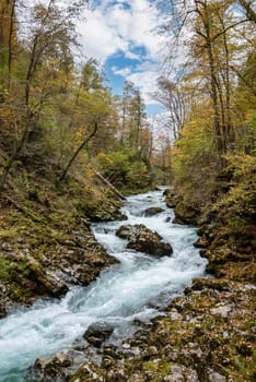Scenic wild river flowing through the Vintgar gorge, Slovenia
