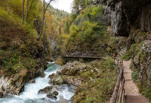 Scenic wild river flowing through the Vintgar gorge, Slovenia