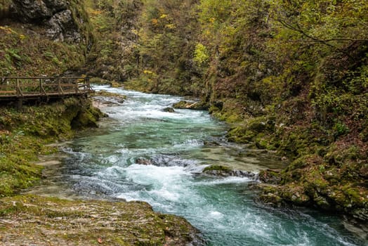 Scenic wild river flowing through the Vintgar gorge, Slovenia