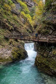 Scenic wild river flowing through the Vintgar gorge, Slovenia