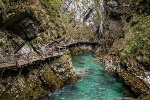 Scenic wild river flowing through the Vintgar gorge, Slovenia