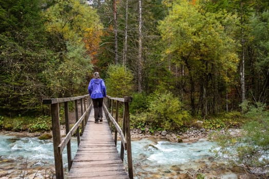 Crossing a wooden footbridge in the forest, somewhere in the Bistrice valley in the Triglav National Park, Slovenia