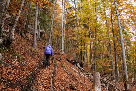 Hiking through the Vrata valley in autumn, Triglav National Park in the Julian Alps, Slovenia