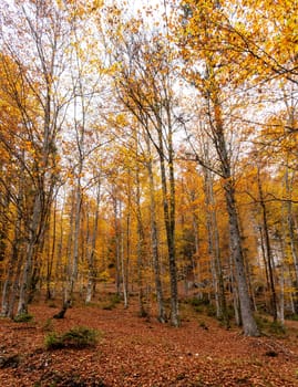 Hiking through the Vrata valley in autumn, Triglav National Park in the Julian Alps, Slovenia